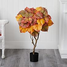3Ft. Autumn Umbrella Ficus Tree
