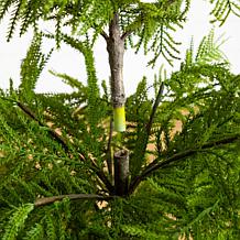 4-ft Real Touch Goldcrest Christmas Tree by Nearly Natural