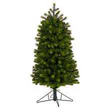 4’ Slim Colorado Mountain Spruce Christmas Tree with 150 Lights