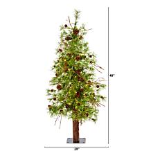 4' Wyoming Alpine Artificial Christmas Tree with 50 Clear multifunc...