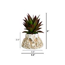 5-in Succulent Garden in Haunted - Set of 2 by Nearly Natural