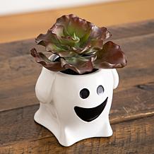 5-in Succulent Garden -Set of 2 by Nearly Natural