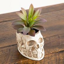 5.5-in and 9-in Succulent Garden - Set of 2 by Nearly Natural