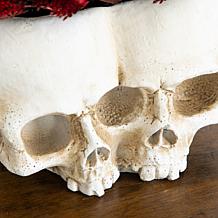 6-in Succulent Plant in Double Skull by Nearly Natural