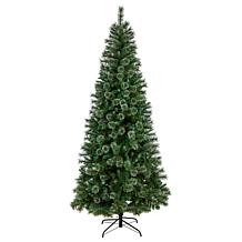 8’ Wisconsin Slim Snow Tip Pine  Christmas Tree