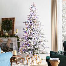 9ft Pre-Lit Flocked Full Fir Christmas Tree with Warm White Lights