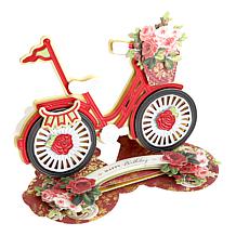 Anna Griffin® 3D Bicycle Easel Die Kit