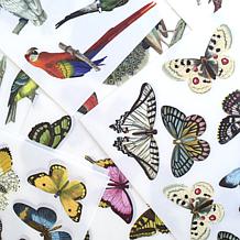 Anna Griffin Birds & Butterfly Rub On