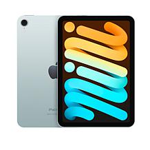 Apple iPad mini 256GB Wifi Bundle