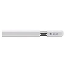 Apple Pencil USB-C with Software and Carry Case