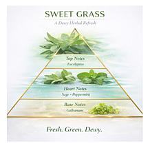 "As Is" Beekman 1802 Happy Place Air Freshener Odor Eliminator Gel ...