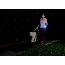 "As Is" Bell + Howell Torch Handy Light 6-pack