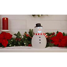 "As Is" Cinemates Frostbyte Animated Snowman