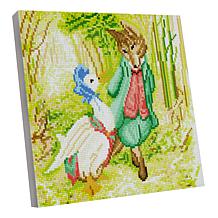 "As Is" Craft Buddy Crystal Art Peter Rabbit Characters 2pk Canvas Kit