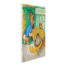 "As Is" Craft Buddy Crystal Art Peter Rabbit Characters 2pk Canvas Kit