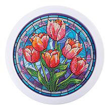 "As Is" Craft Buddy Crystal Art Round Frame Kits - Set of 3