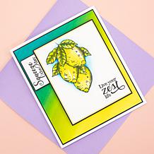 "As Is" Crafters Companion Liquid Watercolors