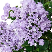 "As Is" Improvements 3-foot Faux Crepe Myrtle Tree