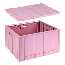 "As Is" Improvements Heavy Duty Large Capacity Storage Box - 2-pack