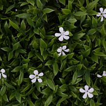 "As Is" Improvements Set of 2 13" Floral Spheres