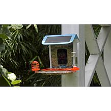"As Is" Improvements Solar Powered Smart Birdfeeder With Camera