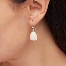 "As Is" Jay King Striped Agate Freeform Drop Earrings