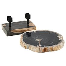 "As Is" KALIFANO Petrified Wood Slice with Display Stand