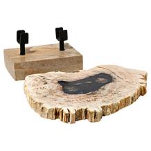 "As Is" KALIFANO Petrified Wood Slice with Display Stand