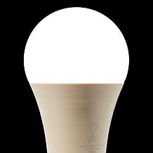 "As Is" Living Glow Dusk to Dawn 4-pack LED Bulbs