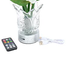 "As Is" Living Glow Rechargeable LED Color Changing Flower Light - ...