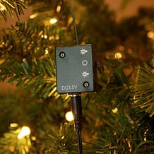 "As Is" Mr. Christmas Fiber Optic Angel Wing Tree Topper