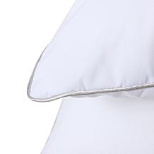 "As Is" South Street Loft 2-Pack Standard Comfort Pillows