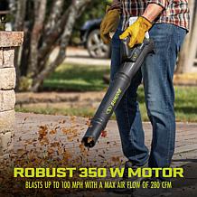 "As Is" Sun Joe 24-Volt Cordless Garden Blower