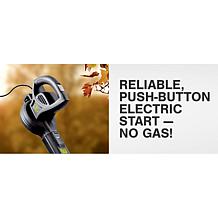 "As Is" Sun Joe Electric Corded Compact Blower