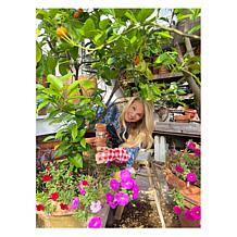 "As Is" Tower Hill by Christie Brinkley 3pc Garden Set- Gloves, She...