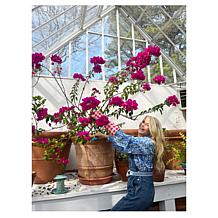 "As Is" Tower Hill by Christie Brinkley Solar Light Bird Feeder