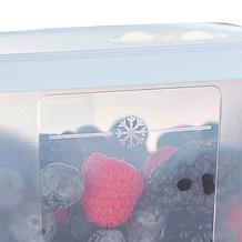 "As Is" Tupperware 10-piece Date, Store & Freeze Food Storage Set