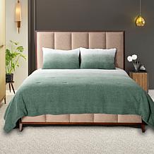 "As Is" Warm & Cozy Teddy Comforter Set