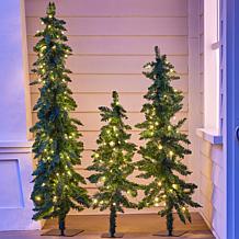 "As Is" Winter Lane Down Swept LED Trees 3-Piece Set