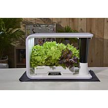 Aspara GS1003-W 16-Hole Removable Reservoir Hydroponic Grower