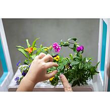 aspara Stylist Lite Smart Grower