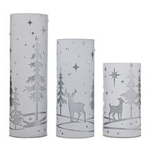 august & leo Set of 3 Holiday Lanterns with LED Fairy Lights