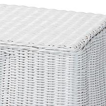 bali and pari Palm Scallop Console Table with Rattan and Metal Frame