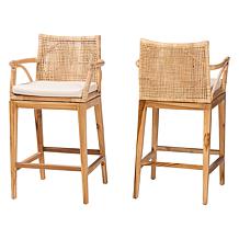 bali & pari Storsel Bohemian 2-Piece Counter Stool Set