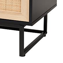 Baxton Studio Declan Mid Century Wood 2 Door Storage Cabinet