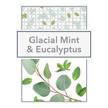 Beekman 1802 9 oz. Goat Milk Glacial Mint & Eucalyptus Bar Soap 2-pack