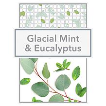 Beekman 1802 Goat Milk 12.5oz Glacial Mint Eucalyptus Hand & Body Wash