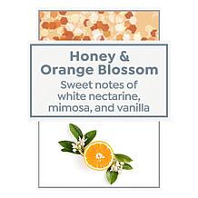 Beekman 1802 G.O.A.T. Whipped Body Cream 2-Pack - Honey Orange Blossom