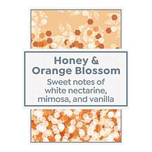 Beekman 1802 Honey & Orange Blossom Goat Milk Bar Soap - 9 oz.