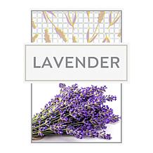 Beekman 1802 Lavender Goat Milk Cleansing Face Wipes Duo
